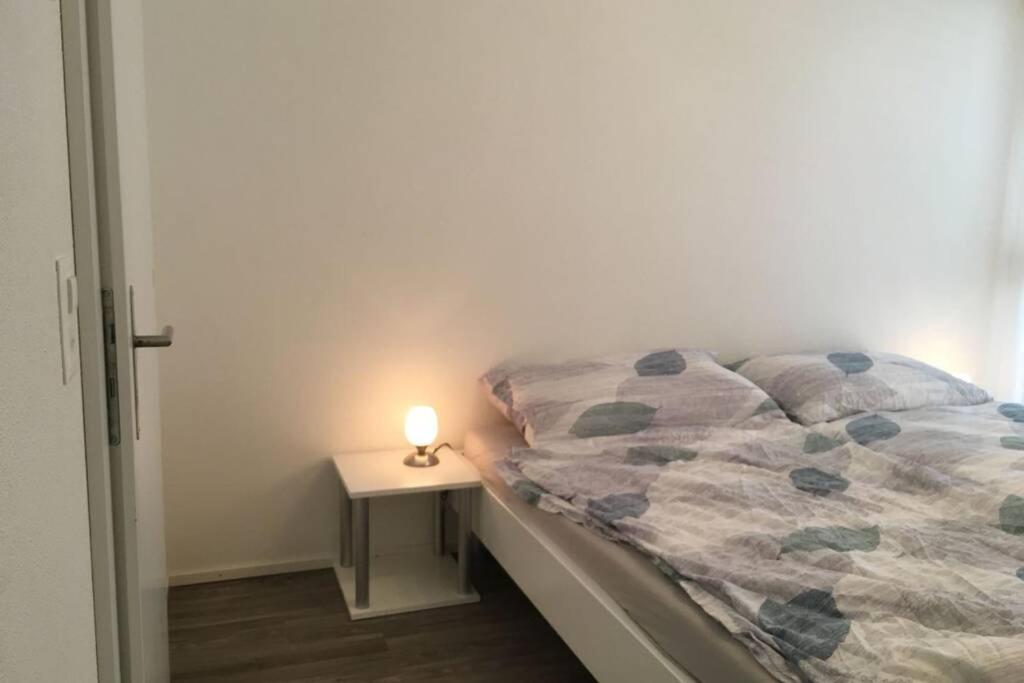 Modern Apartment 모던 펜션 Interlaken Zewnętrze zdjęcie